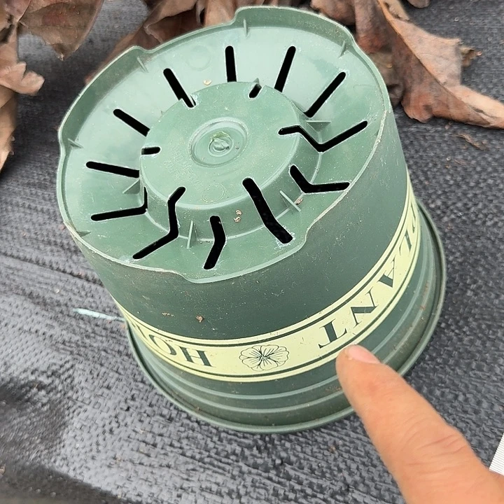 加仑盆口径19.5高14发10个