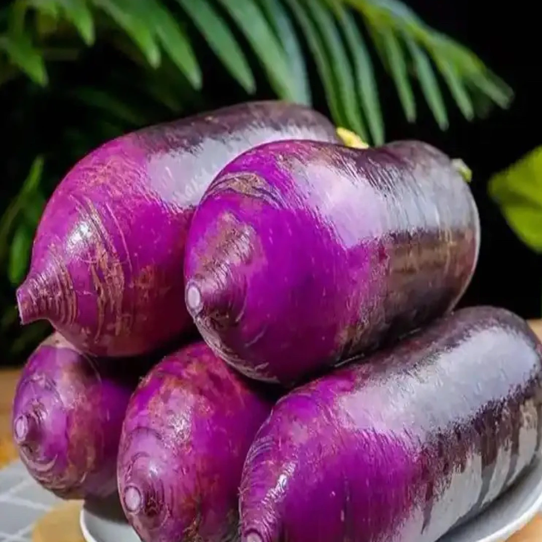 老鱼家奶油冰淇淋萝卜福利(净重五斤)