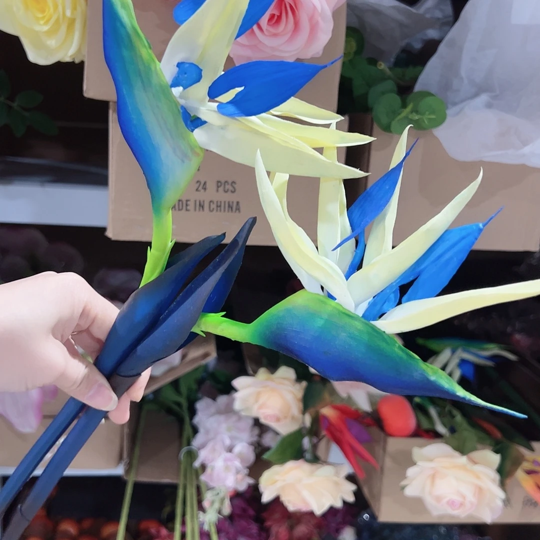 2枝天堂鸟。