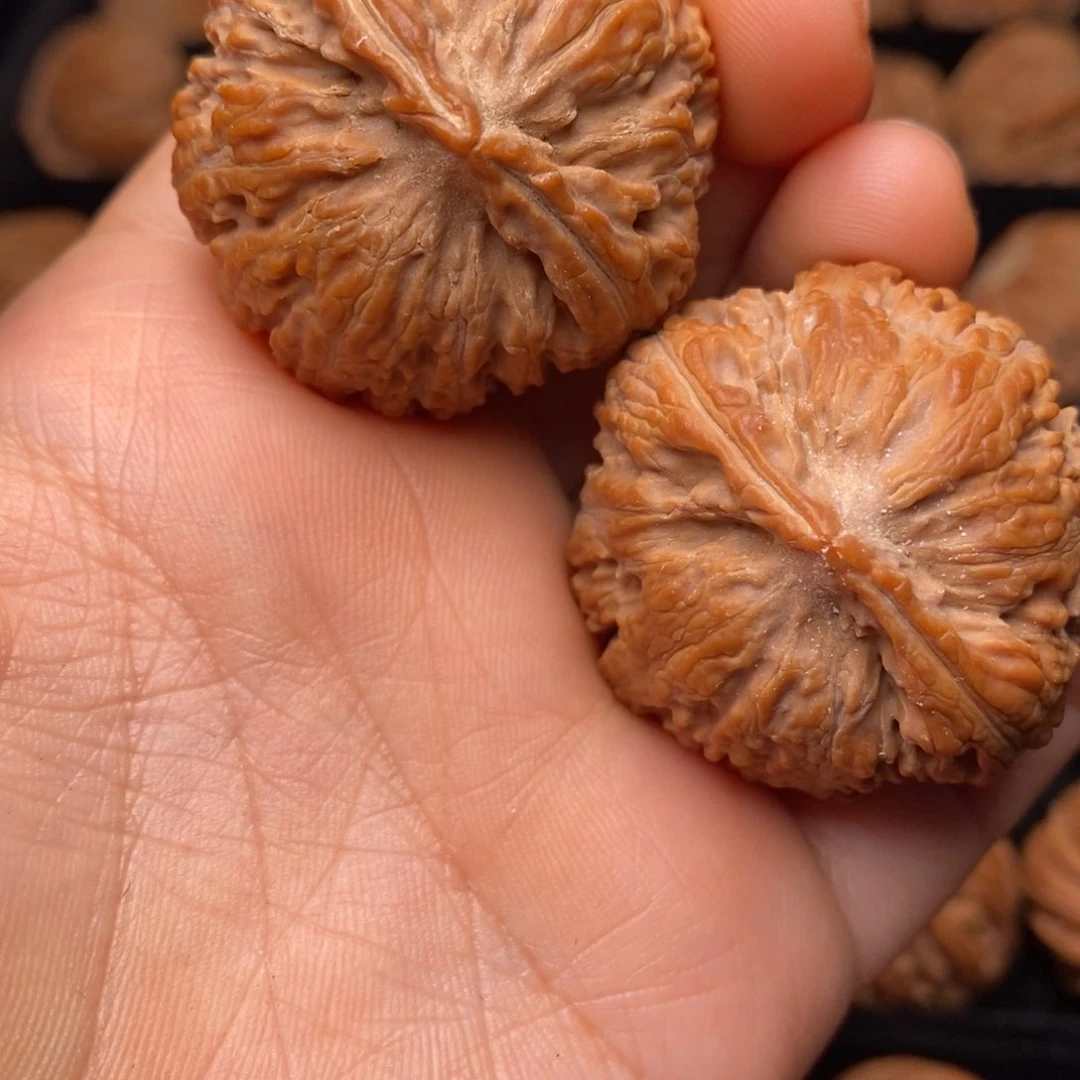 秦岭野生文玩核桃