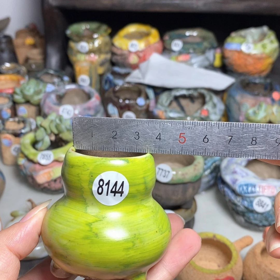 拍5送一个小礼物