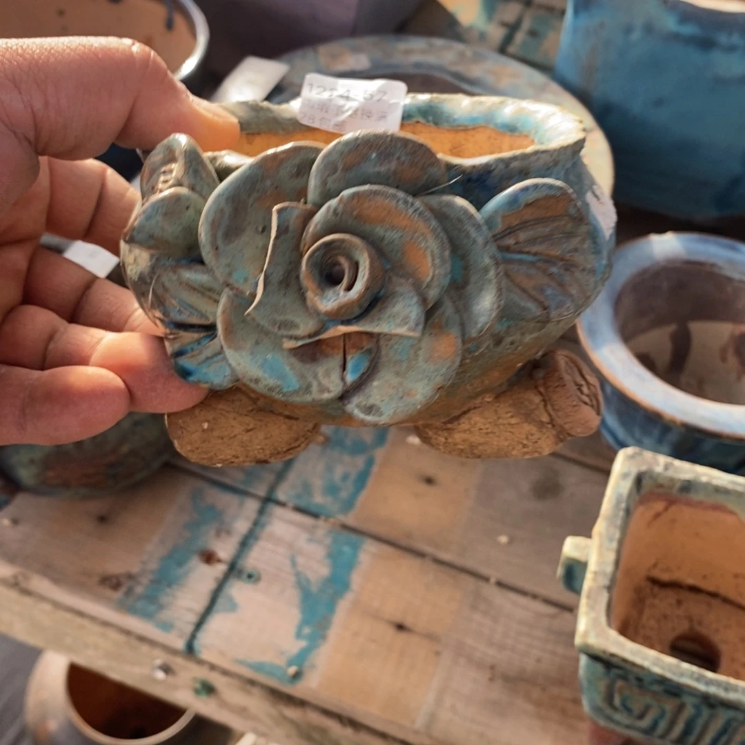 67号花盆内9高9瑕疵