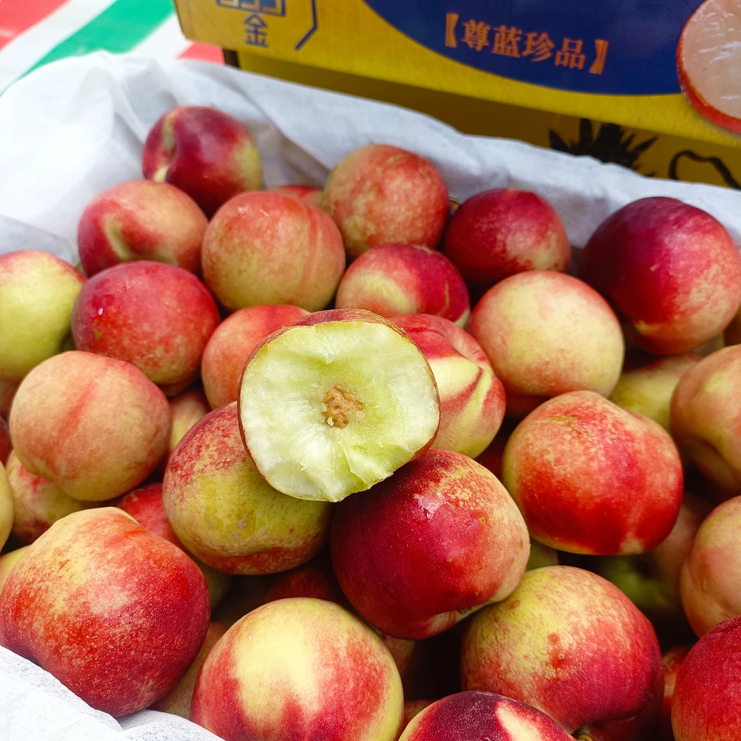 枣蜜桃仅限长春同城外五县下单云南省