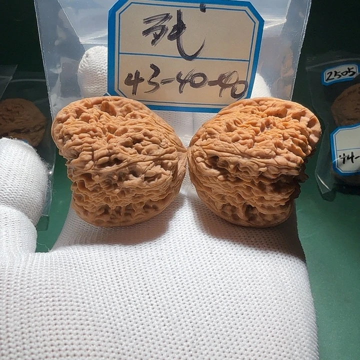 吊坠文玩核桃3号凹底留疤蚂蚁蝴蝶天残