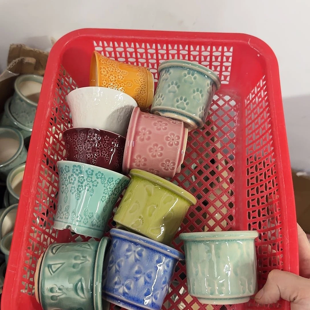 10个福利局绿植多肉盆［凑9元包邮24小时发］