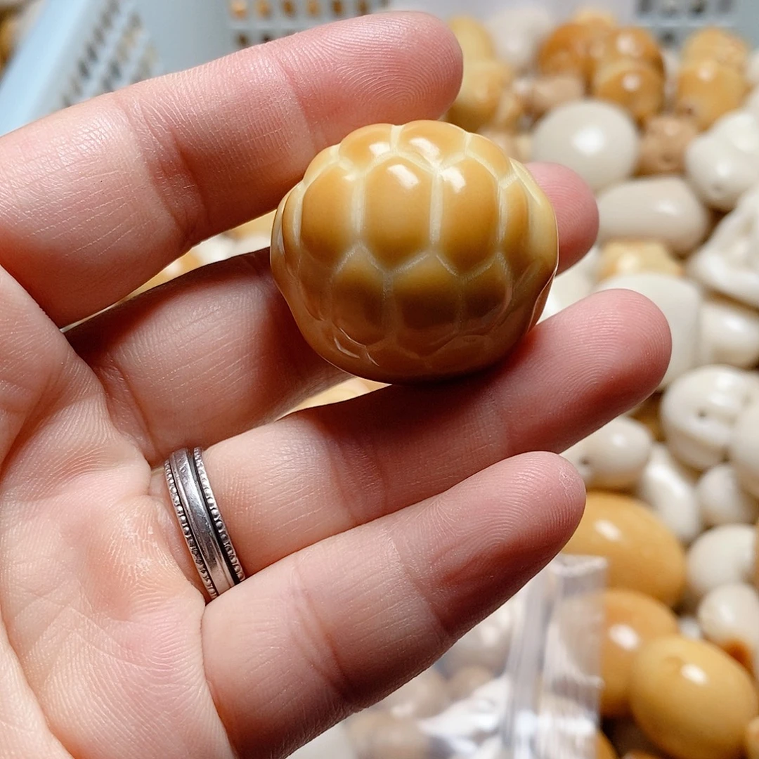 吊坠菩提根/象牙果全品大富甲一颗，两颗起拍