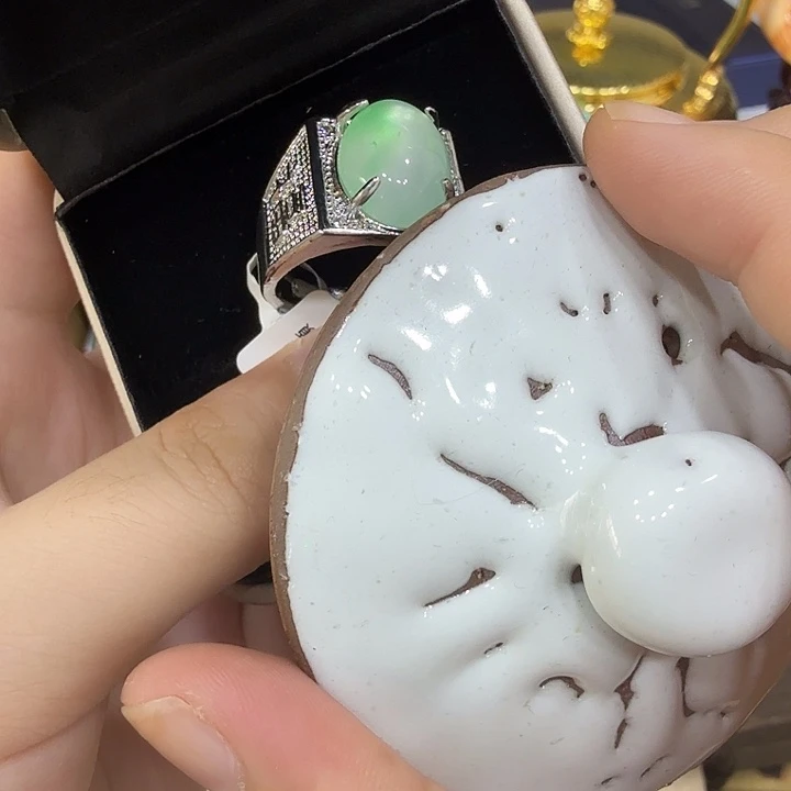 茶宠哈哈哈哈哈哈哈哈