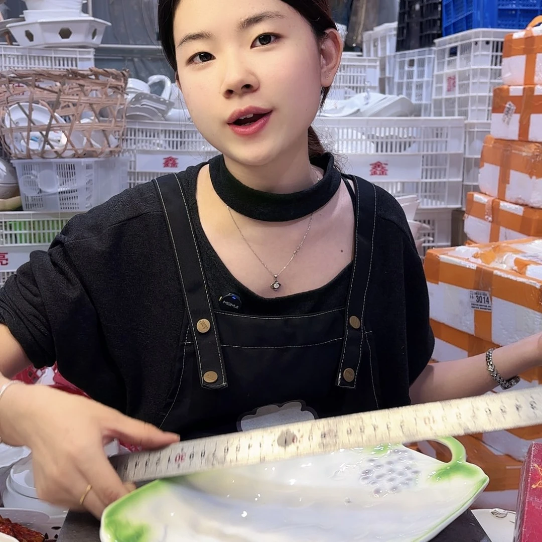 盘微瑕产品………D095一个