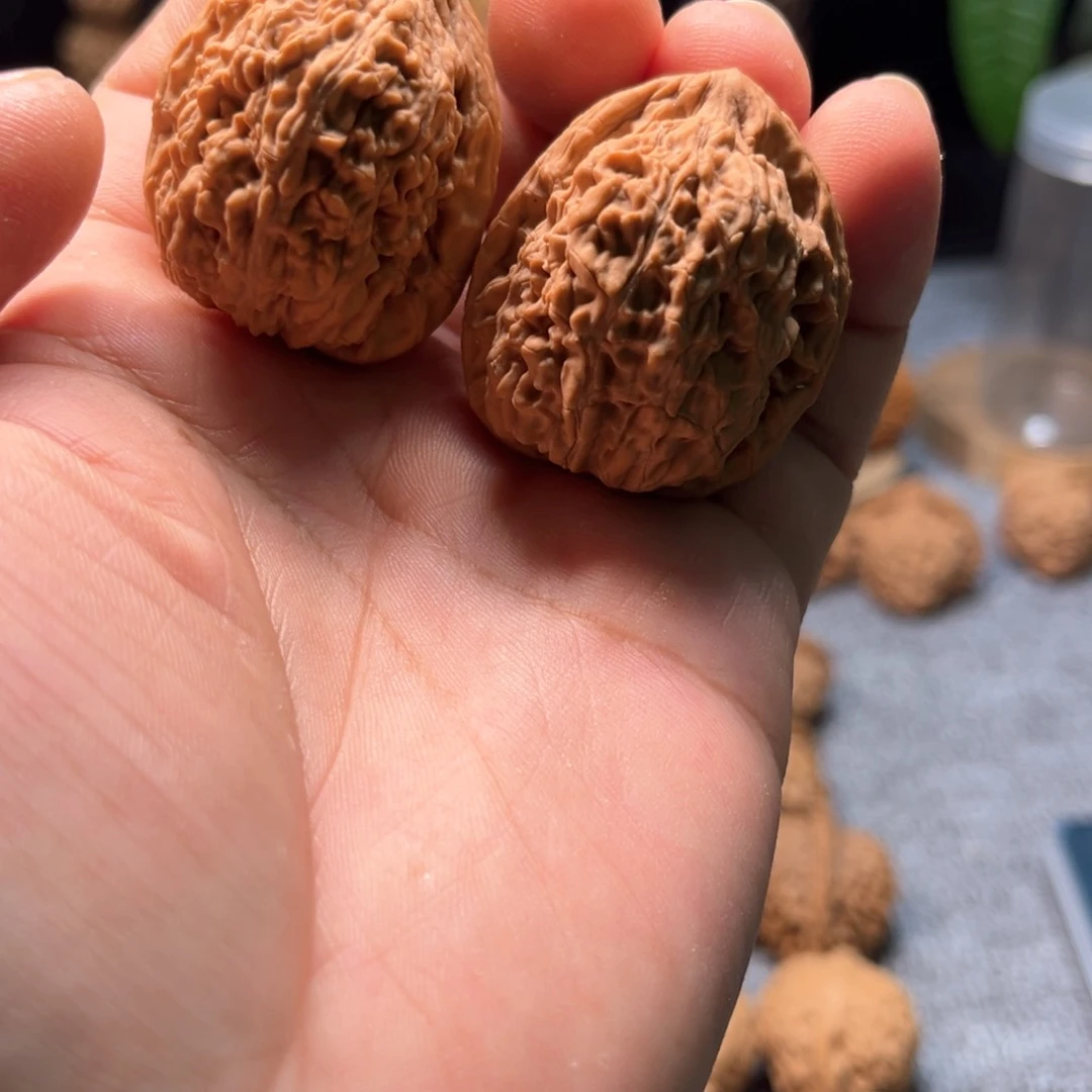 文玩核桃把件蚂蚁王有修