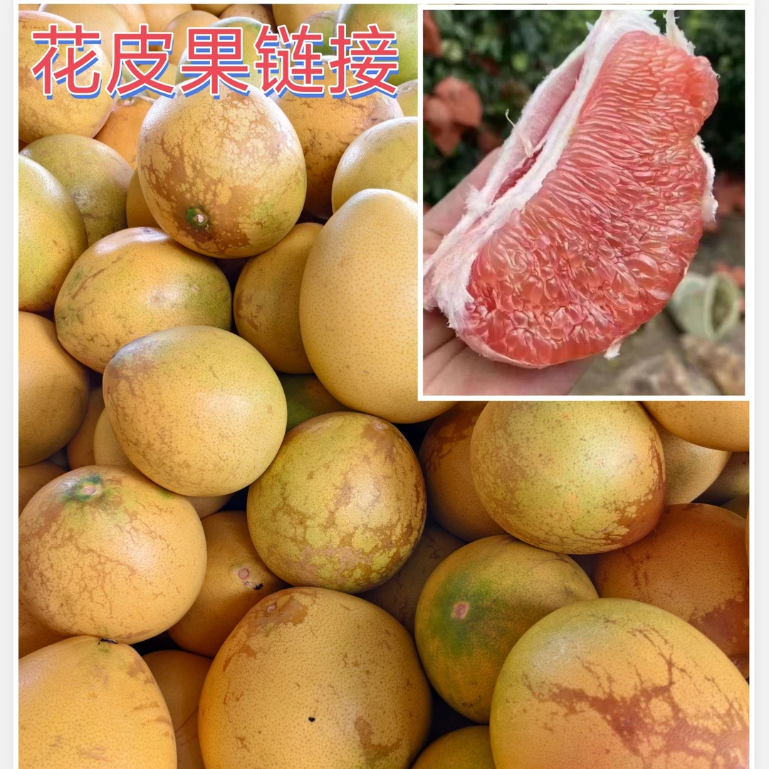 （花皮果链接）容县红心蜜柚酸甜可口红心柚子现摘现发蜜柚