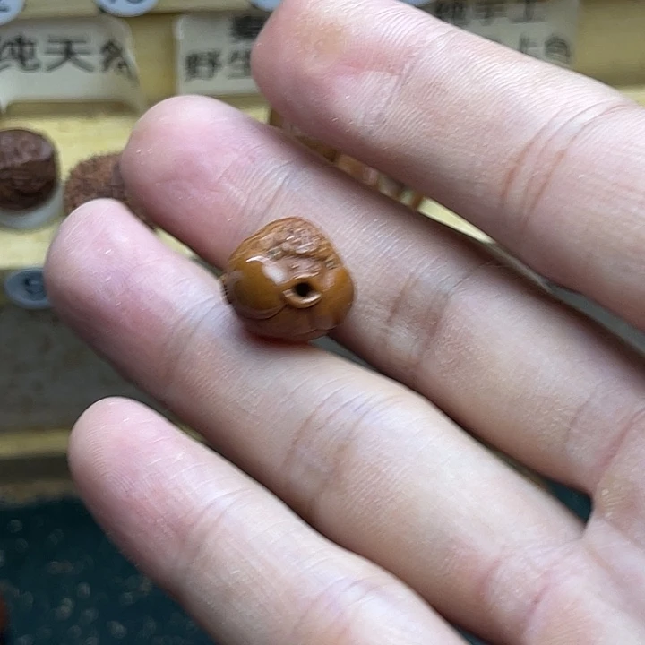 我***得桃核雕刻兰寿金鱼一颗