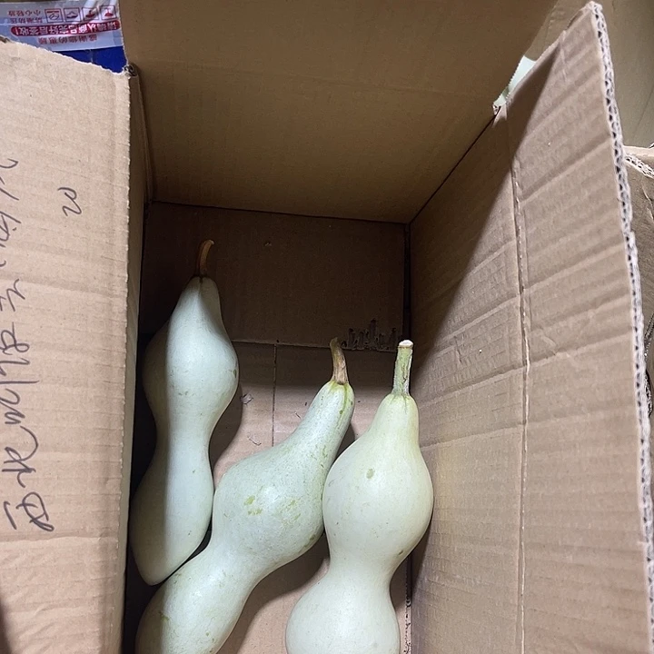 非洲紫檀（红花梨）西****风