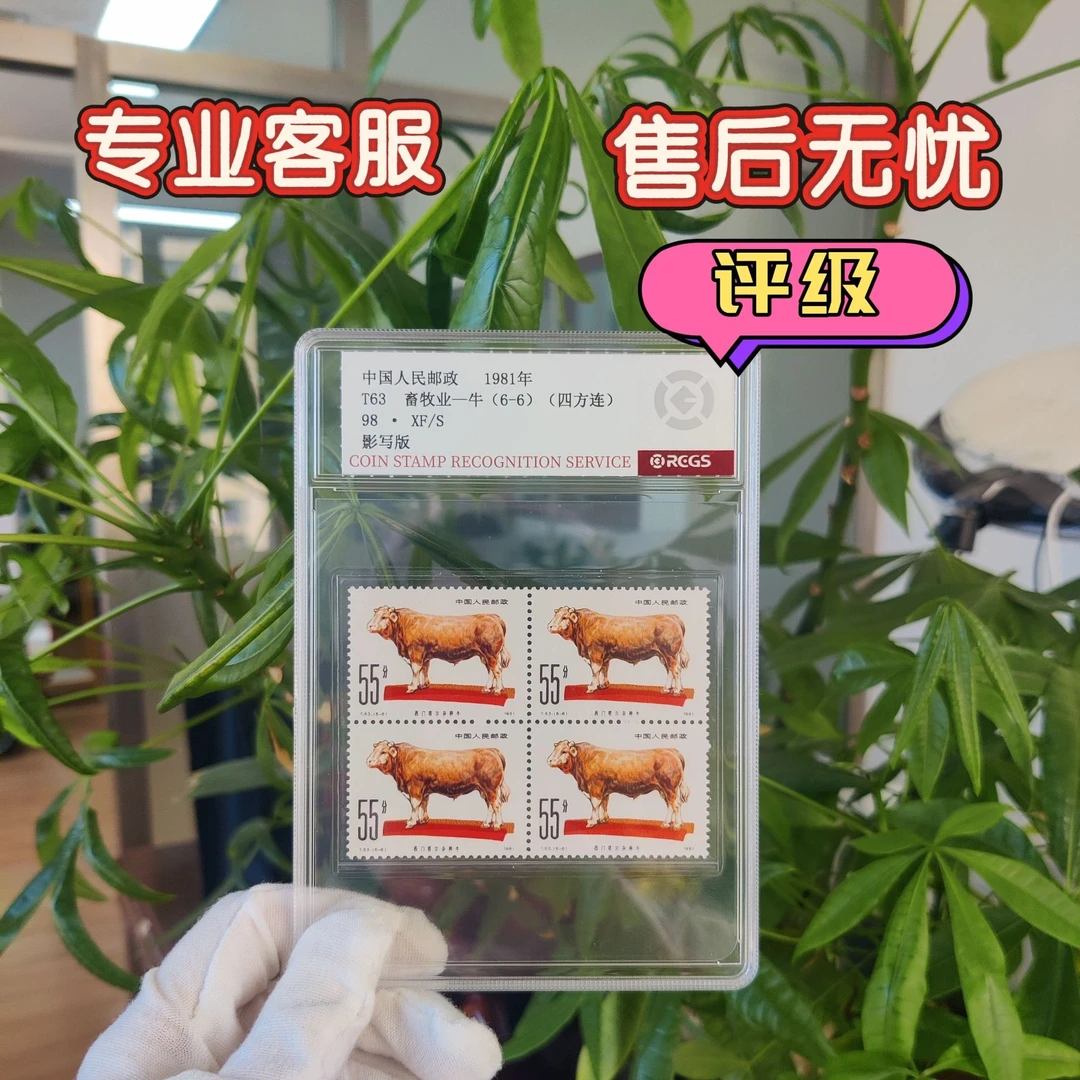 T63畜牧业牛55分四方连邮票