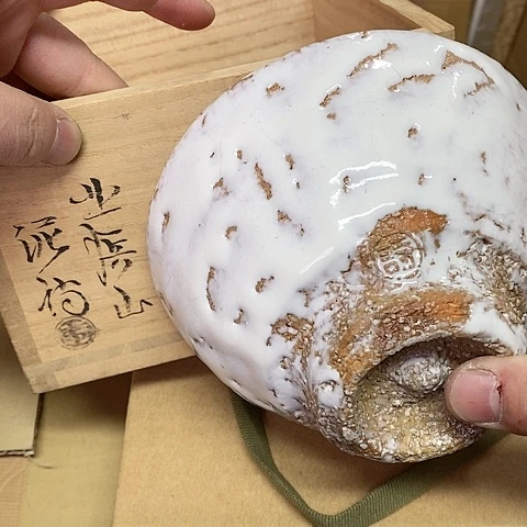 紫砂哈哈哈哈哈哈哈哈哈哈