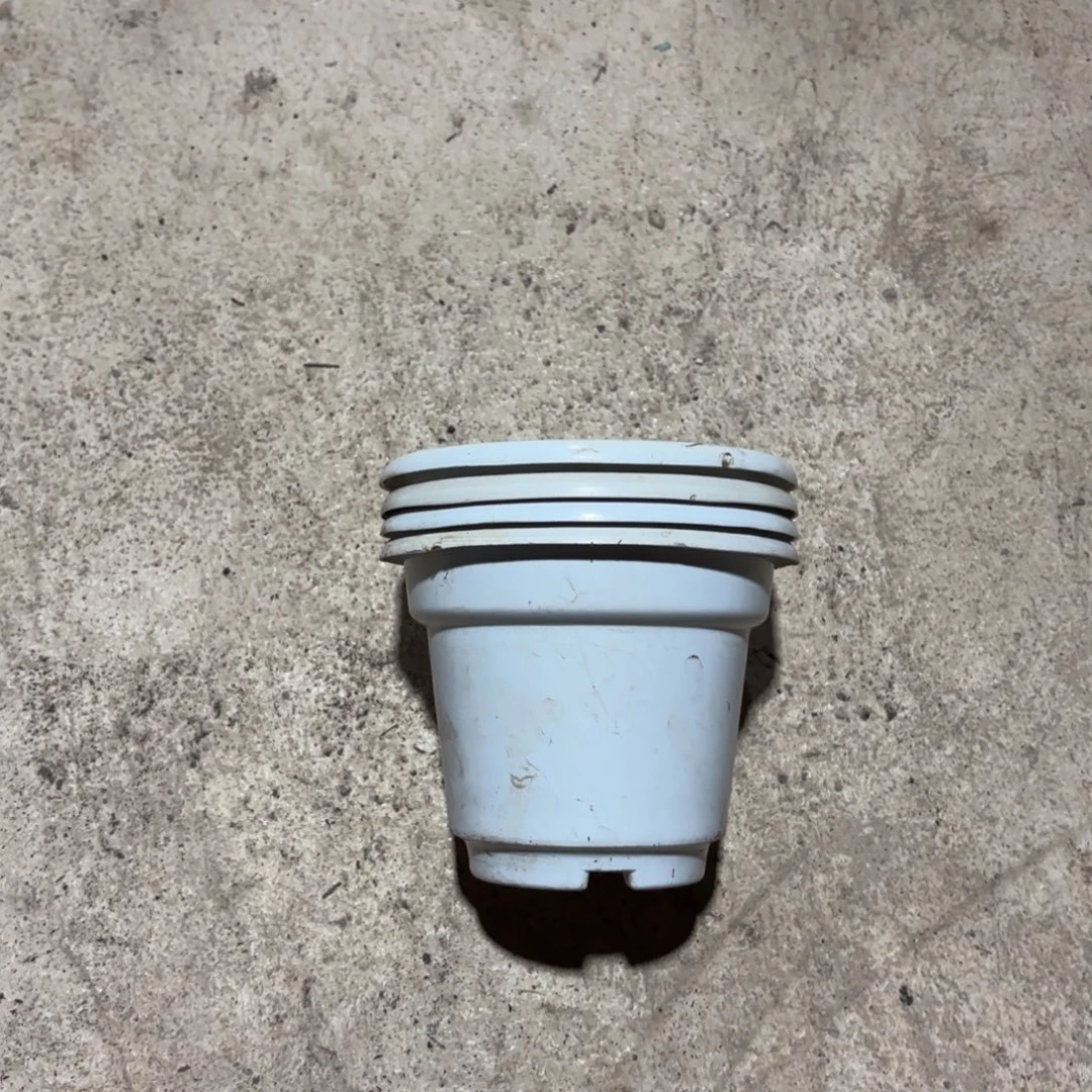 白色硬圆盆115口径发45个
