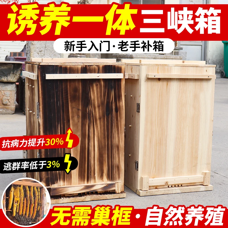 正规土养蜂箱立式三峡蜂桶养殖箱大号老式诱蜂箱专用中蜂养蜂箱