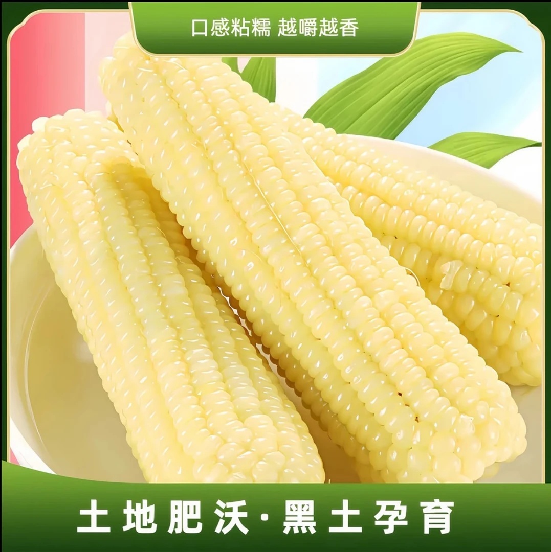 【白糯10根大果6斤】东北白糯玉米软粘香甜一大箱(试吃2根)