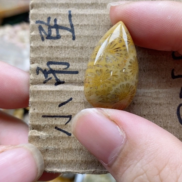 硅化珊瑚（珊瑚玉）未镶嵌颈饰用****5