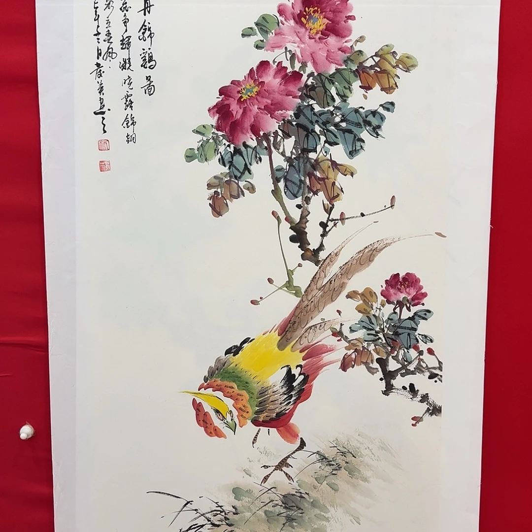 国画新号开播福利多多