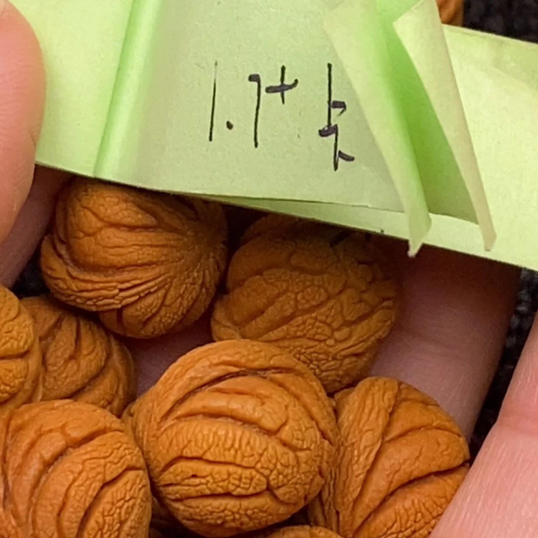 秦岭山脉龙纹桃核 15