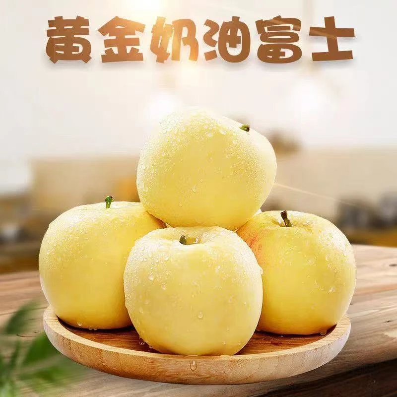 东芳悠选正宗山东烟台黄金奶油苹果脆甜多汁当季新鲜水果网红水果