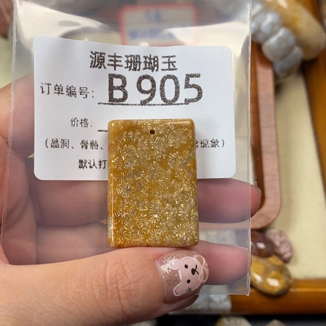 捡****未镶嵌颈饰硅化玉