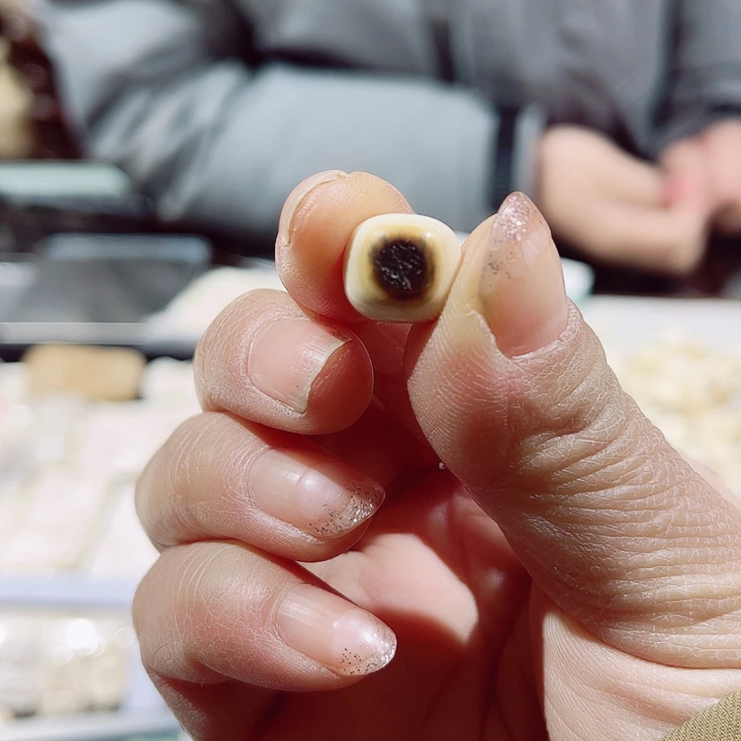 H**5精品小猛犸单颗全品12