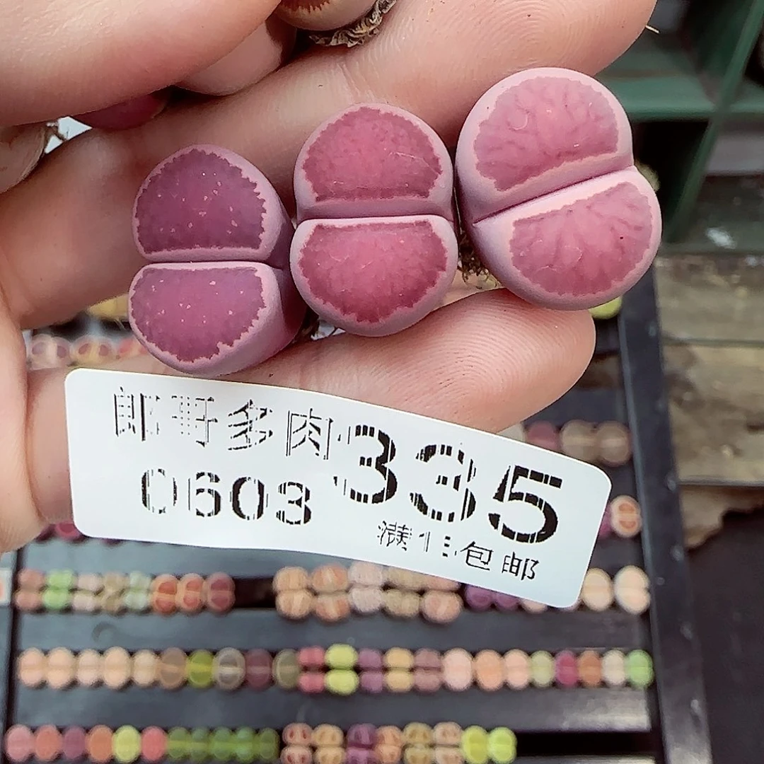 茄**椒满18包邮0603-335
