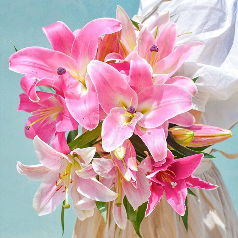 10朵20朵香水百合花鲜花花束云南斗南基地直发批发家用水养插花