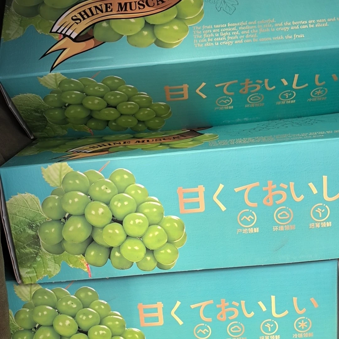 阳光玫瑰晴王葡萄礼盒包装新鲜美味脆甜当季水果3大串一件山东省