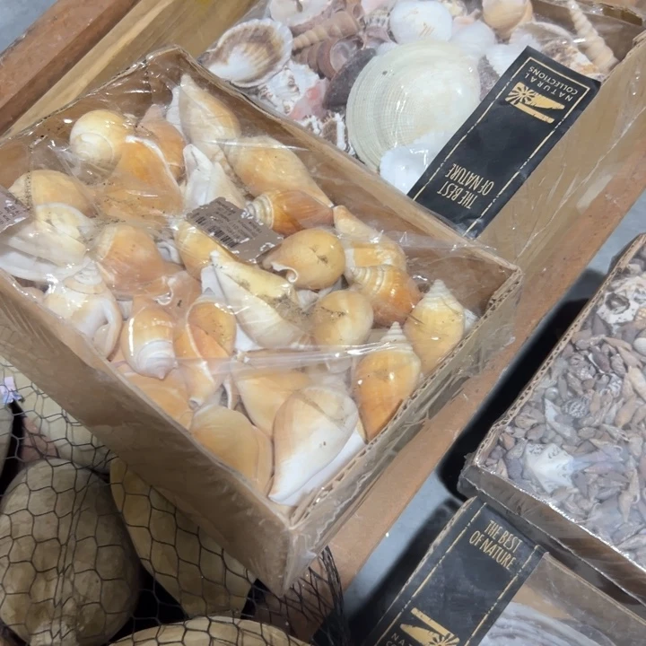 黑***妖外贸孤品，默认瑕疵