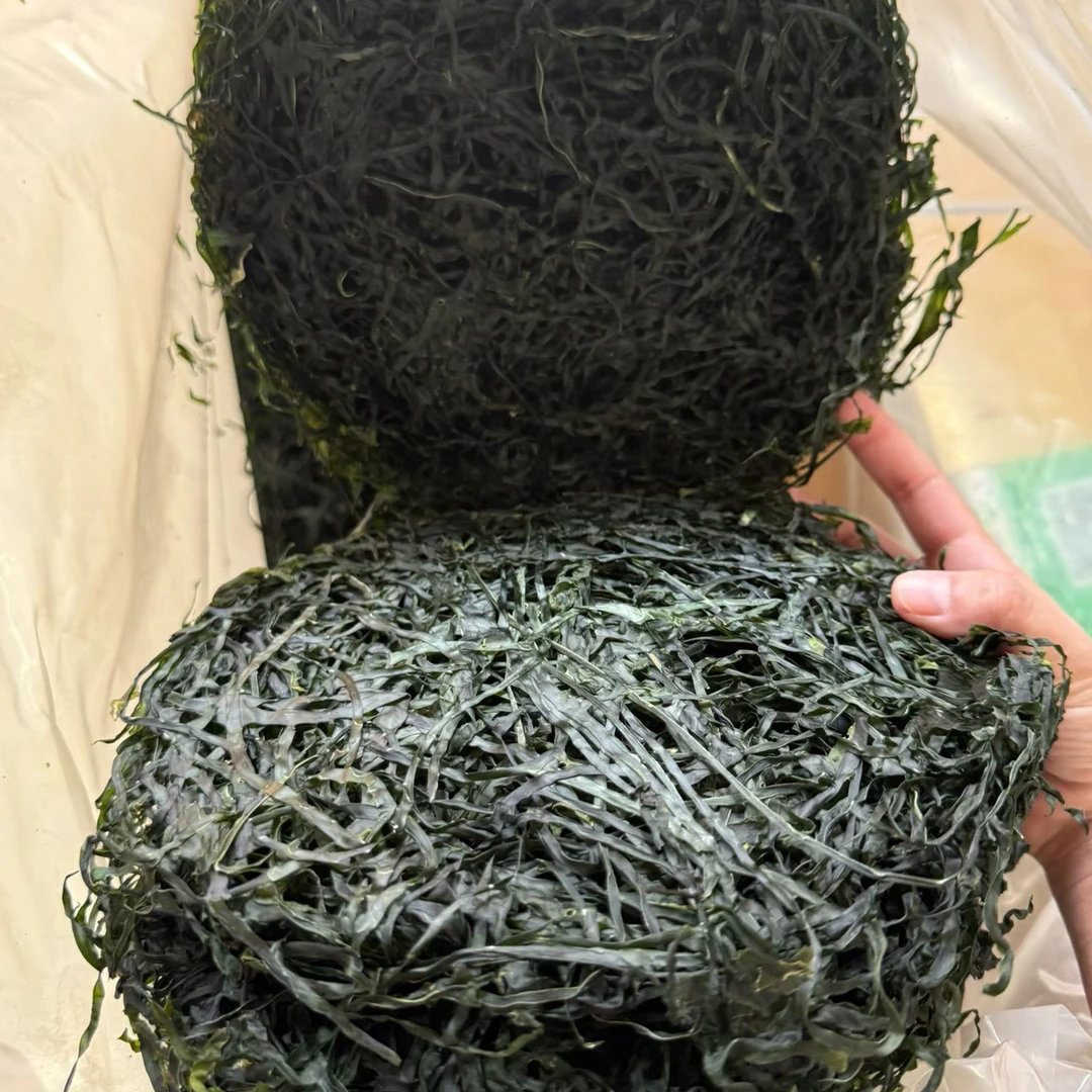 福建霞浦海带丝干货
