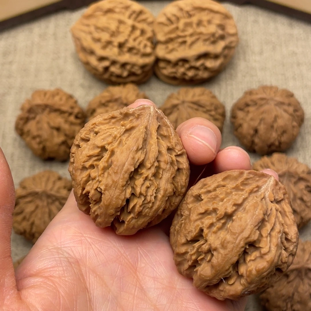 丑***豆核桃秦岭核桃20号