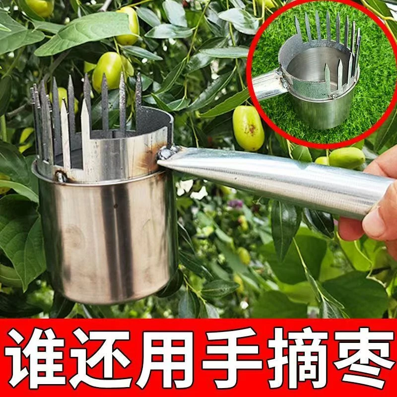 加厚2025新款酸枣不易锈摘果器采果山枣柏树神器小枣工具扎手大号