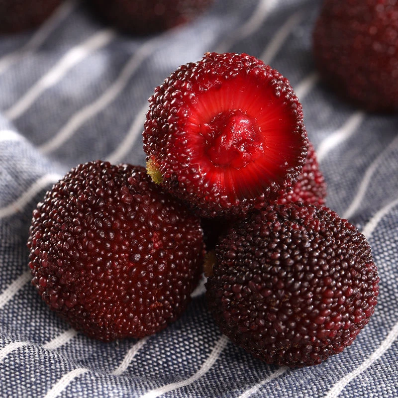 【易成甄选）正宗仙居东魁杨梅新鲜水果杨梅现摘现孕妇水果