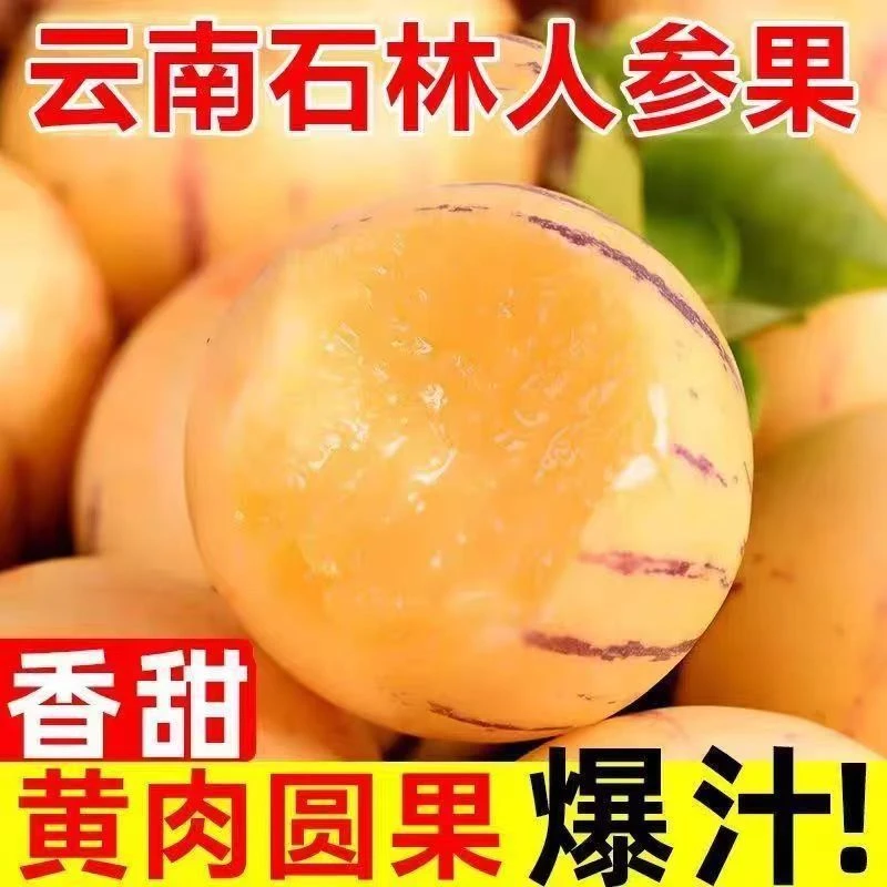 07云南石林树上熟果黄肉圆果新鲜采摘清甜多汁应季水果