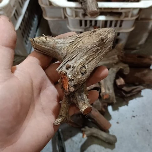 吾***乐大果紫檀（缅甸花梨）崖柏