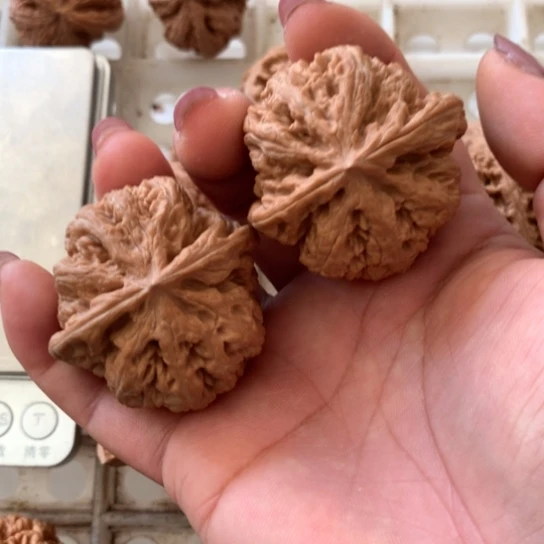 ?****?文玩核桃手把件粗筋