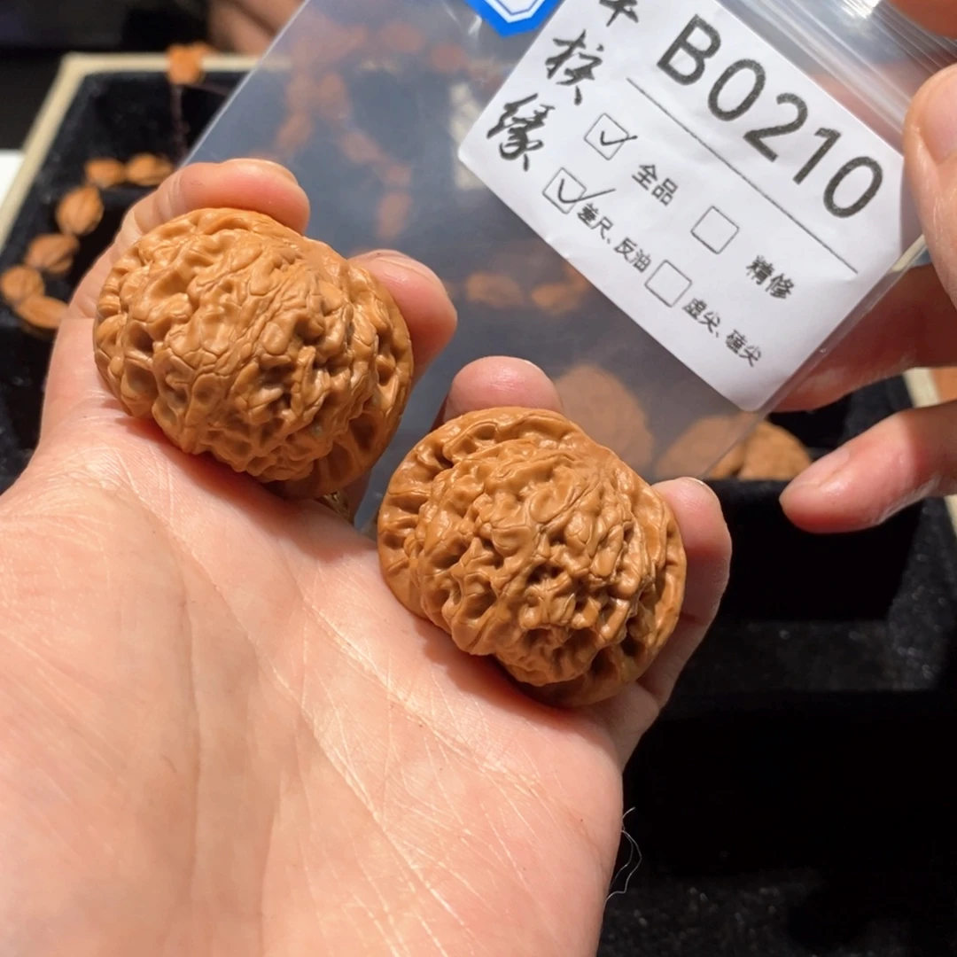 文玩核桃把件b0210核王全品深清轻微差尺