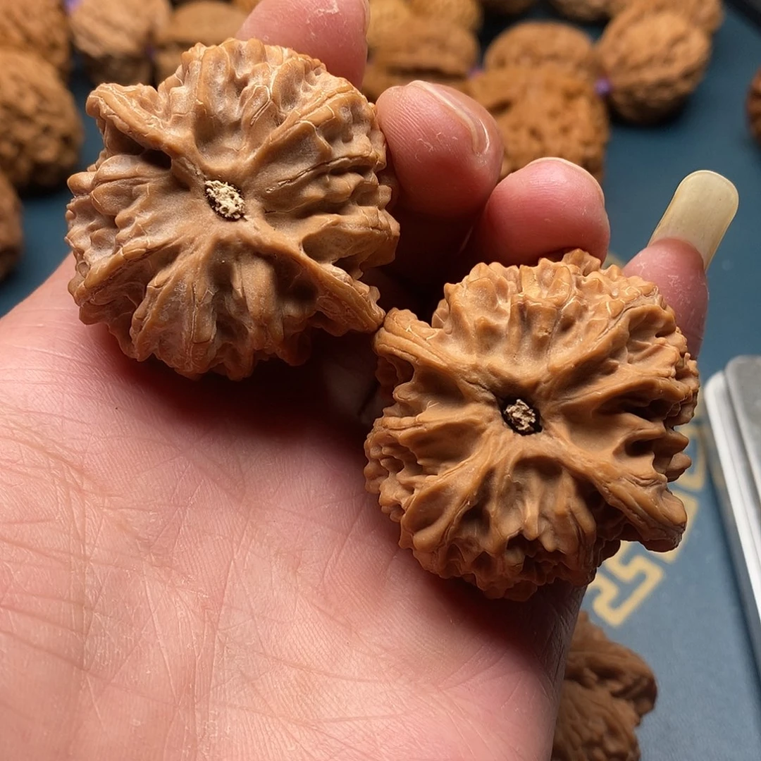 文玩核桃苹果园43全品