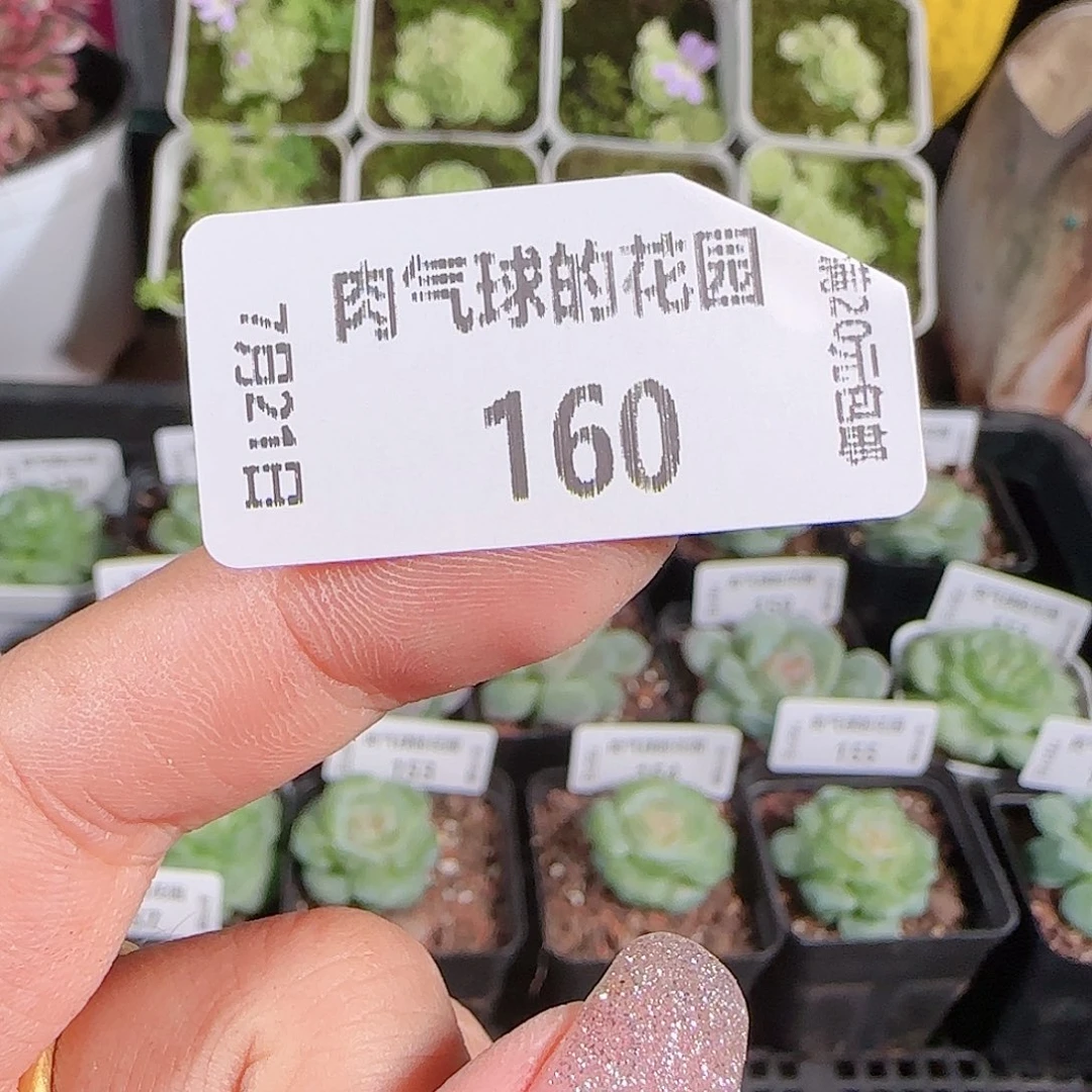 0721-:-160无尽灯量拍
