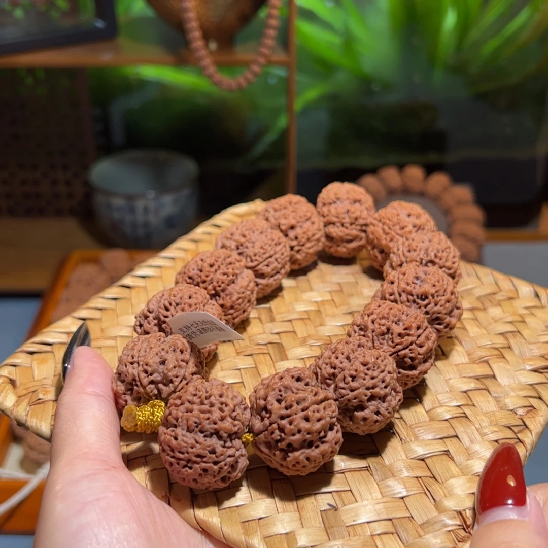 吊坠金刚菩提五星针孔蜂王26mm