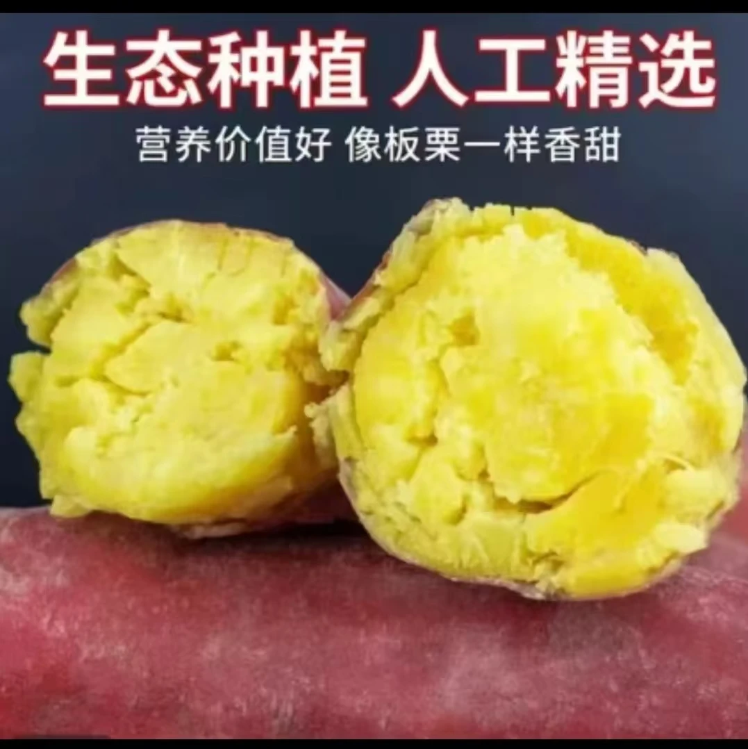 【买3斤送2斤到手5斤】陕西板栗红薯粉糯香甜带箱5斤现挖番薯农家