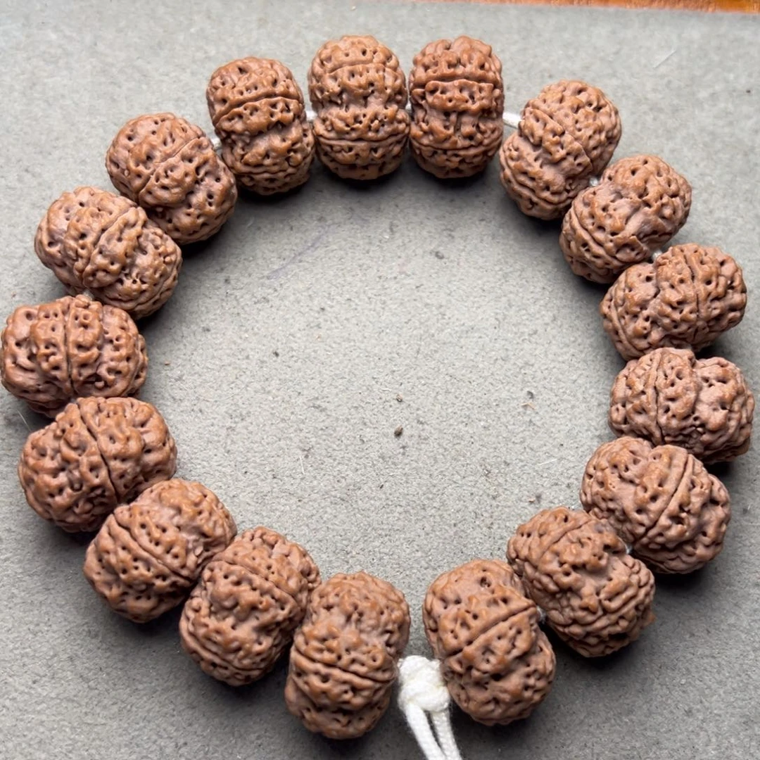 菩提26号金刚菩提梅花夹板20