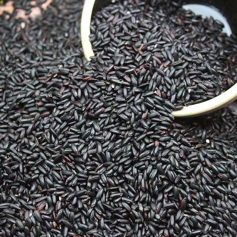 张主任助农-夏至枸杞 （ 黑米）