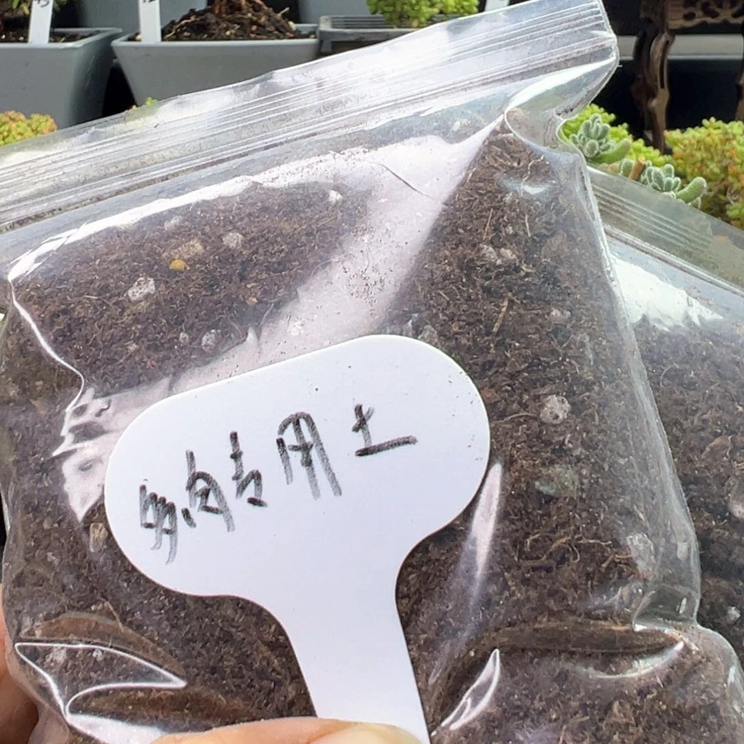多肉专用土壤3袋