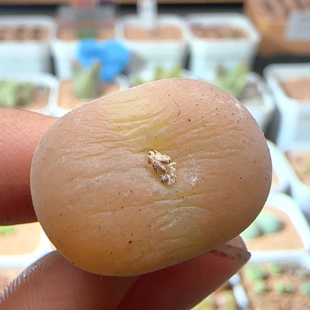 L***n5.11.112/空卡福/////