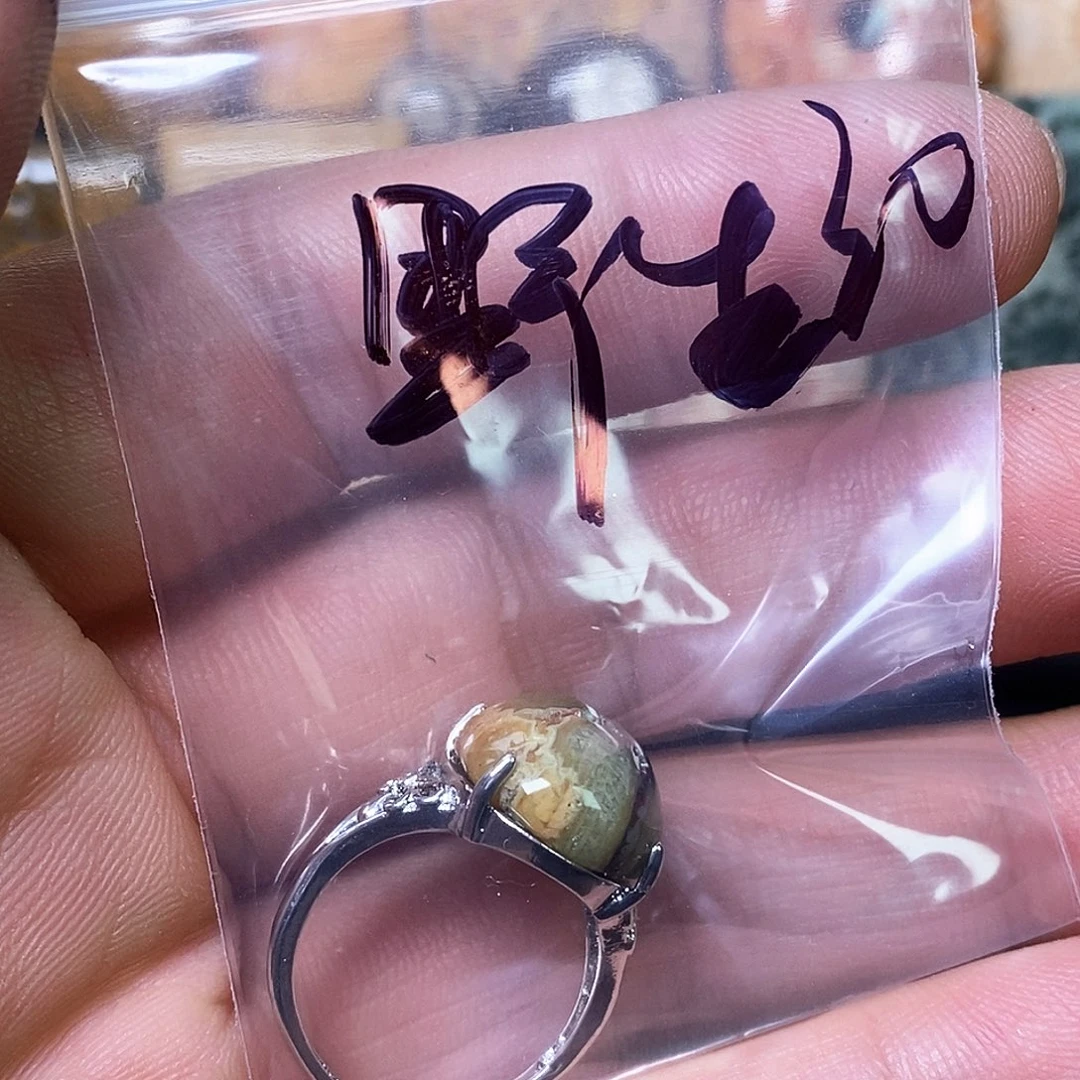 野***数未镶嵌颈饰硅化玉