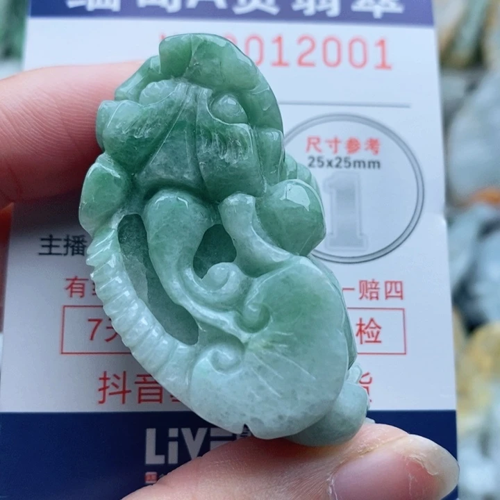 翡翠未镶嵌颈饰一