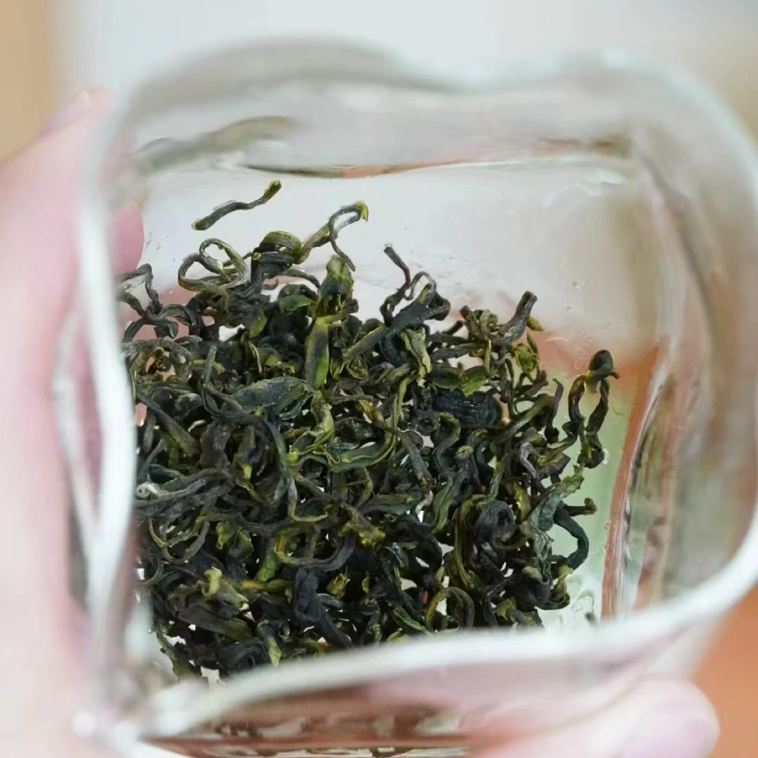 崂山绿茶2025秋茶寒露新茶一芽多叶豌豆香浓香型青岛特产礼盒装